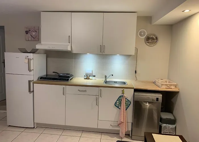 Apartament Rodzinny Typu Basement Na Wzgórzu Mickiewicza - *
